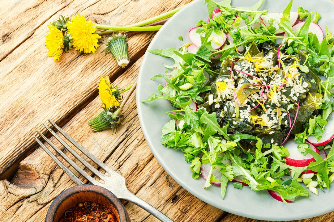 Sea Lettuce: Reinventing Salad Greens with an Oceanic Twist