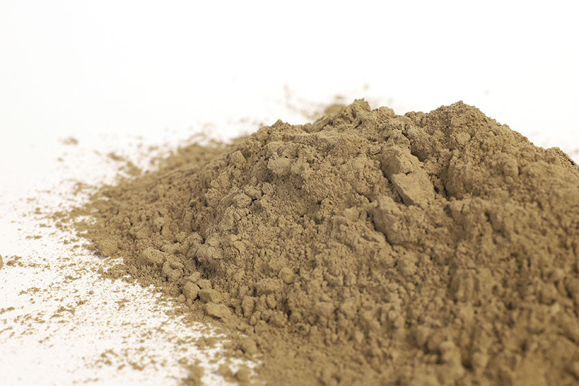 Wild North Atlantic Bladderwrack Powder