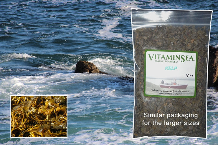 Wild North Atlantic Kelp (Digitata) Flakes
