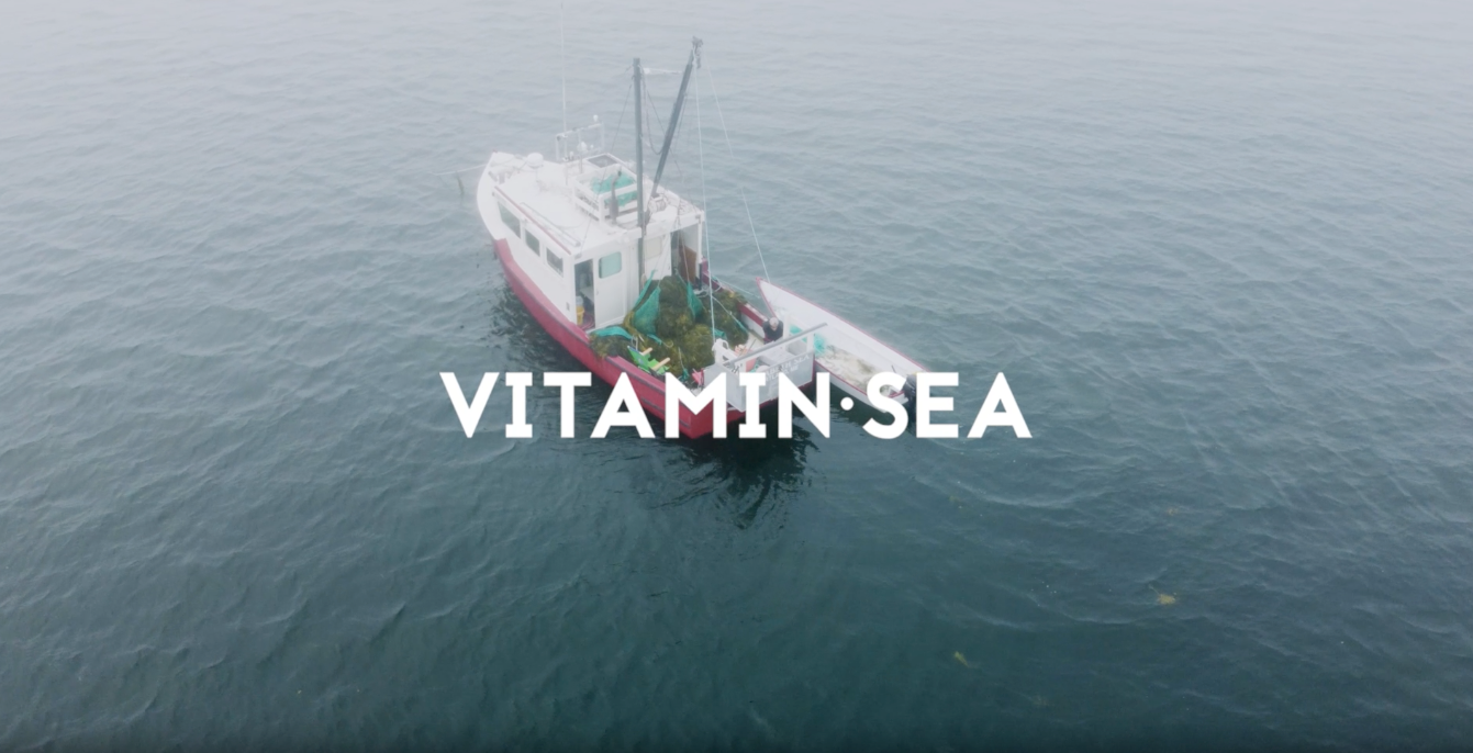 Load video: Vitamin Sea Seaweed Video